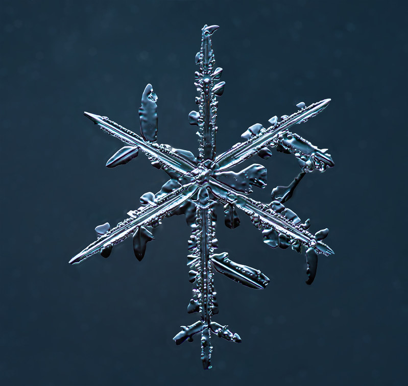 Stellar Dendrite Snowflake  01.010615sm