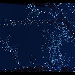 Christmas Constellation