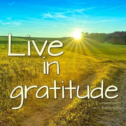 Day 20 Thirty Day Gratitude Challenge 1) I am grateful day… | Flickr
