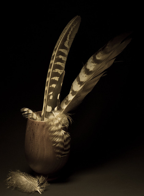 feathers