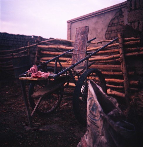 Donkey Cart by M.D. Meek, Country village at sunset. This is my students house outside Turpan. His family has lived on this