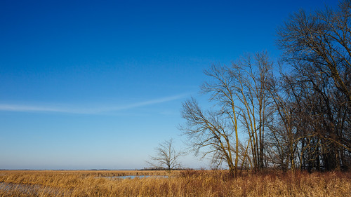 nature wisconsin landscape trees bluesky outdoors midwest horicon canoneos5dmarkiii sigma35mmf14dghsmart