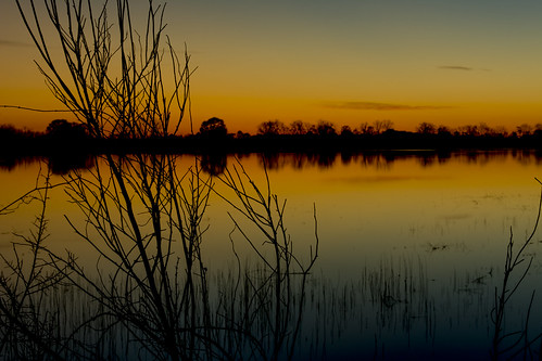sunset sky sun color reflection nature water silhouette landscape nikon scenery alabama d7100