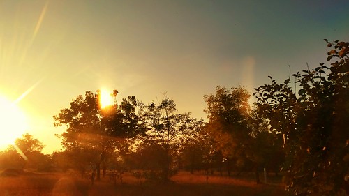 sunset evening village ahmedabad