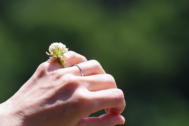 Clover flower ring