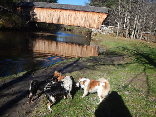 Covered bridge by Lisa G Richards,                                