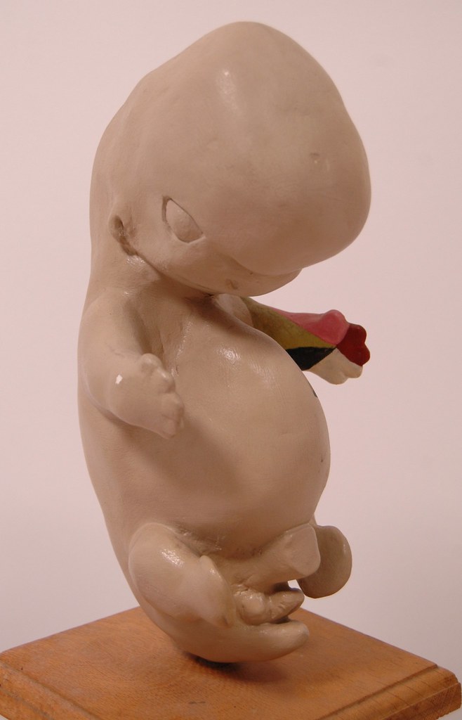Clay Fetus