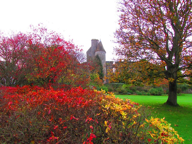 The palace and colourful Autumn trees - Falkland Palace and Garden, Falkland, Fife, Scotland