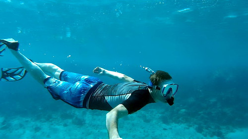 Red Sea Snorkeling | by Tony Steele,Oxford,UK
