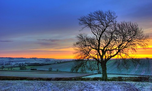 blue trees winter england colour green english nature yellow rural sunrise landscape dawn countryside nikon scenery frost december natural farming northamptonshire earlymorning fields hdr midlands 2014 eastmidlands hedgerows d80 wellandvalley suttonbasset