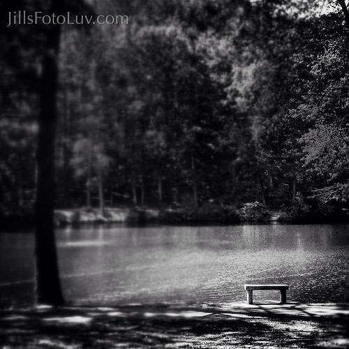 trees blackandwhite lake nature water bench outdoors blackwhite meditate view contemplate universityofrichmond