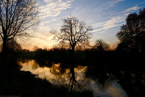 trees sunrise river nikon riverbank boreham chelmer d3100