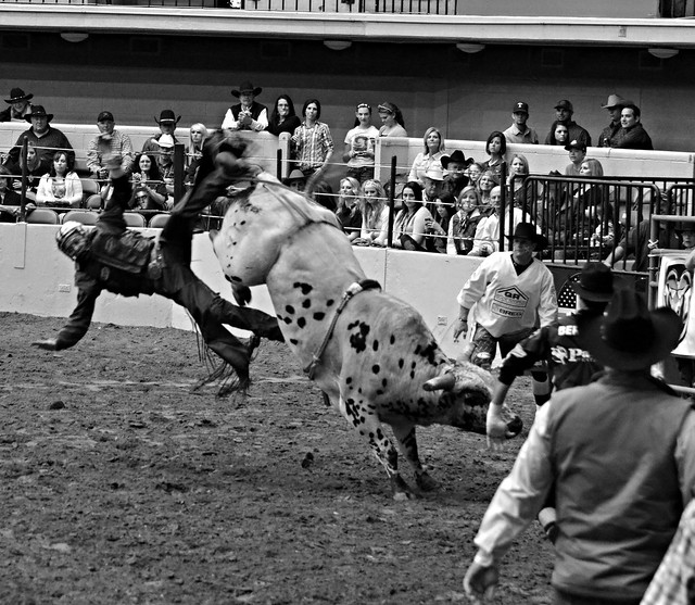 Bull Riding #3 B&W