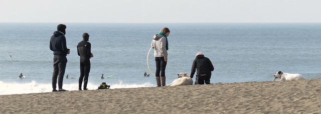 Ocean Beach, Great Highway at Noriega; girl with hoola-hoop and dogs.  San Francisco (2015)