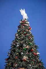 Main Street Christmas Tree
