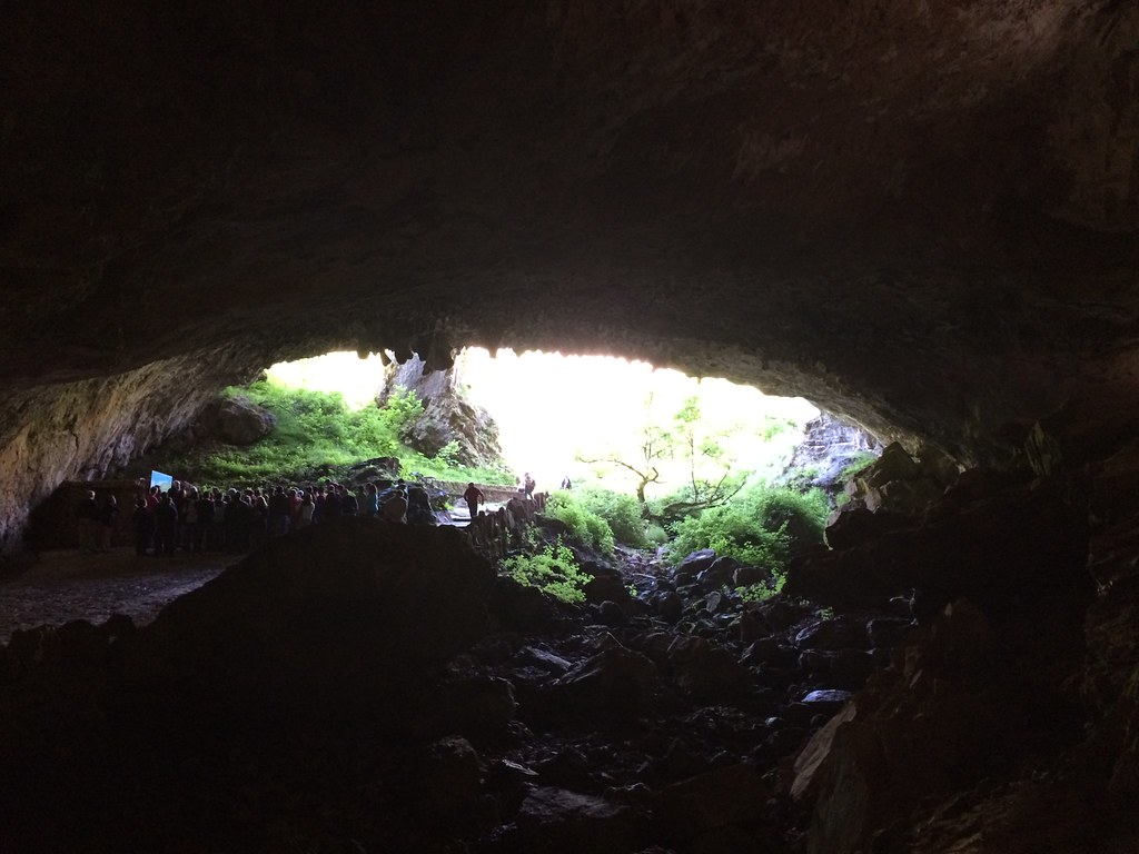 León Cueva de Valporquero 02