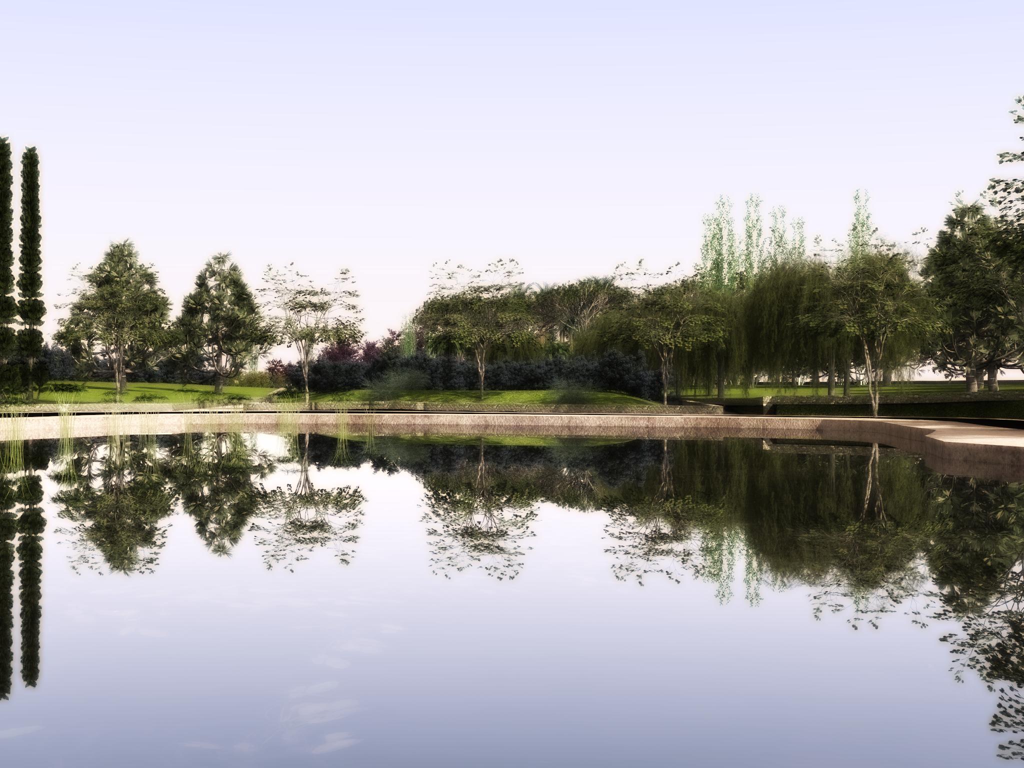 lake with vegetation with filter