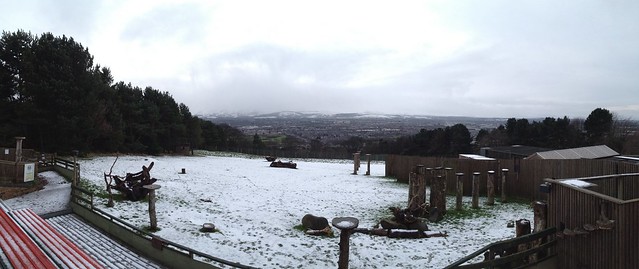 Snow at Edinburgh Zoo Panorama