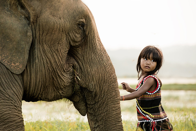 Best Friends | Kim Luan and her elephant. In Vietnam | Rehahn Photography |  Flickr