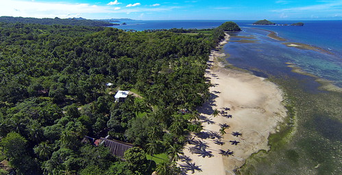 ocean sea beach strand meer philippines palm tropical phl aerialphotography luftbild philippinen palmen luftaufnahme ozean tropisch negrosoccidental sipalay gopro untabulata