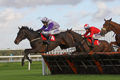 Hint of Mint leads | by Arkle1