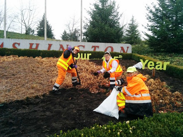 Dec. 2014, Plant removal from the Welcome to Washington Sign