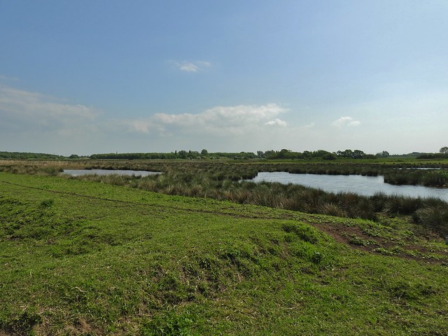 Lunt Meadows Nature Reserve near Crosby, Merseyside, England - May 2016