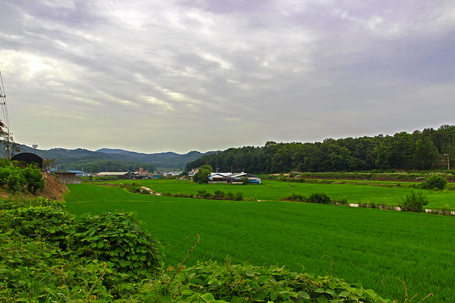 Korean Farmland