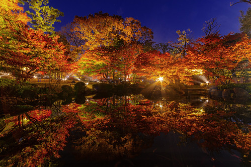 longexposure nightphotography autumn night landscape tokyo nightscape pentax 東京 紅葉 夜景 k3 pentaxk3