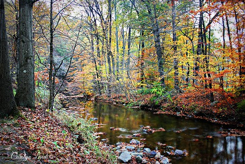 autumn fall water reflections river landscape colorful stream pennsylvania pa lehighvalley walnutport carolynlandi