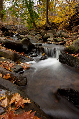autumn fall water yellow waterfall stream