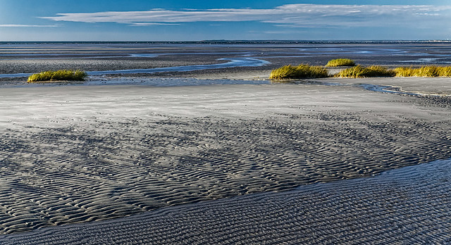 Low Tide Sand Pattern - Skaket Beach