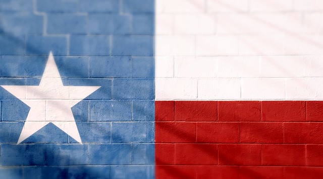 Texas Flag Cinder Blocks Star Red White Blue DSC_7762PL