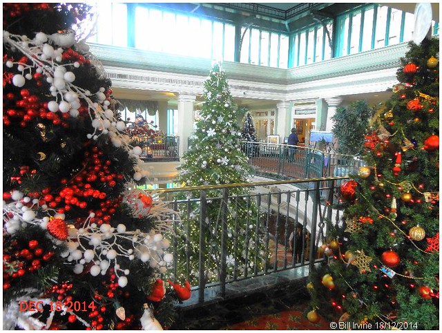Empress Hotel Christmas Trees 2014
