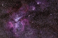 Eta Carinae @ 200mm 100%