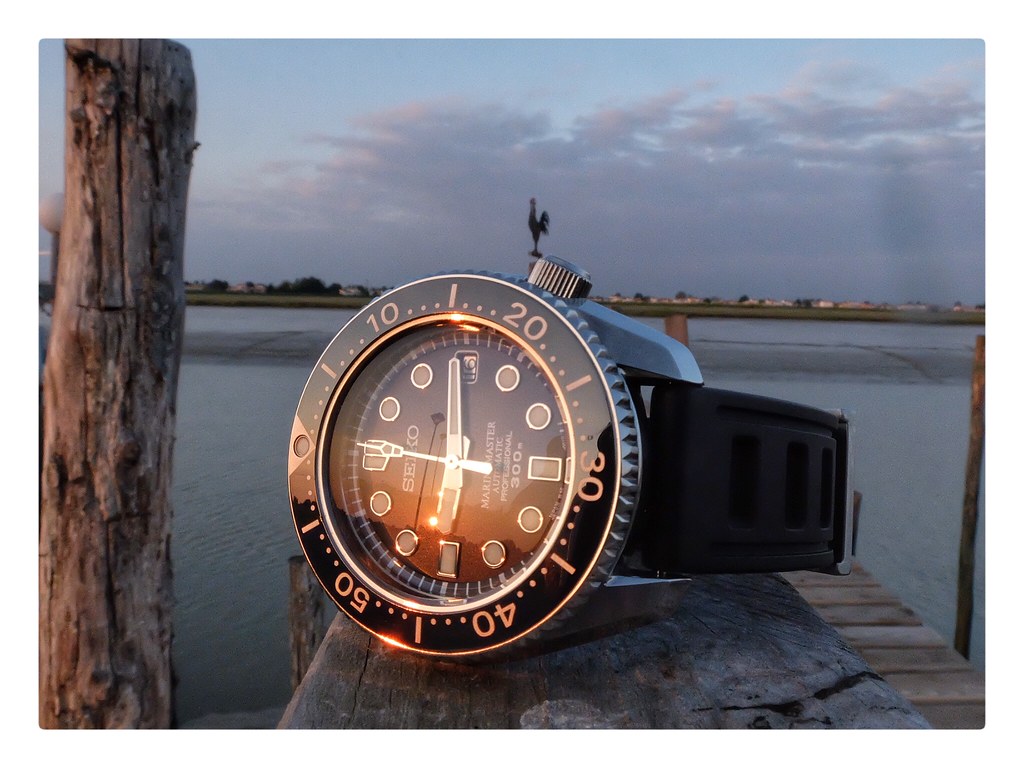 MarineMaster 300 owner's club - tome XXXI - Page 8 26453722453_94767339fc_b