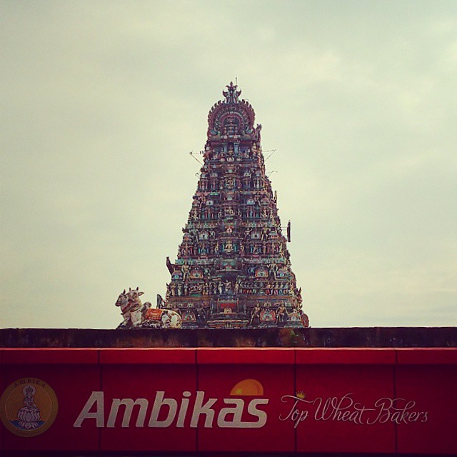 #kapaleeshwarar #temple #Mylapore #gopuram #chennaiigers #igers #chennai #architecture #Shiva #hinduism #street