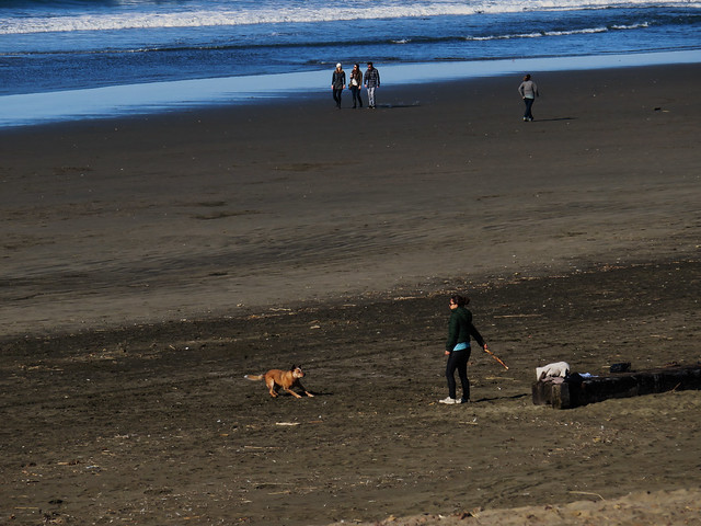 woman playing fetch with a stick on Ocean Beach, San Francisco. January 1, 2015
