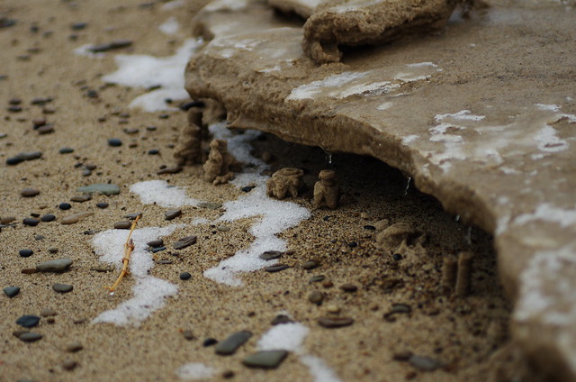 Nature's Mini Sandcastles