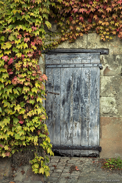 Rustic Door to Secret Garden