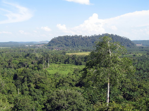 geotagged rainforest lookout malaysia sabah mys geo:lon=11794200897 kampungbatuputih agopbatutulug geo:lat=541595466