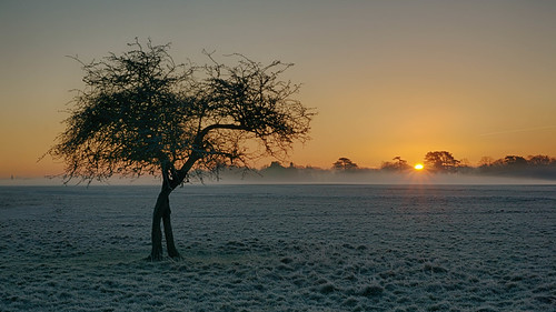 Pheonix Park by Rikspix1, dublin misty sunrise dawn frost phoenixpark