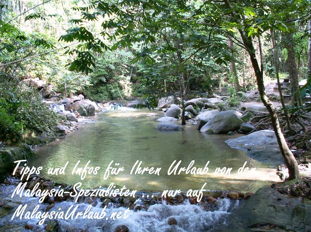 Fluß im Taman Negara Malaysia