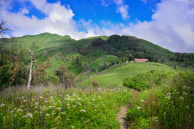 Dzukou Valley Rest House