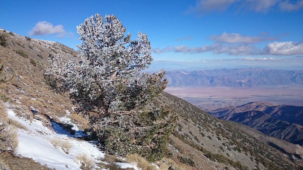 X-country route to Rogers Peak