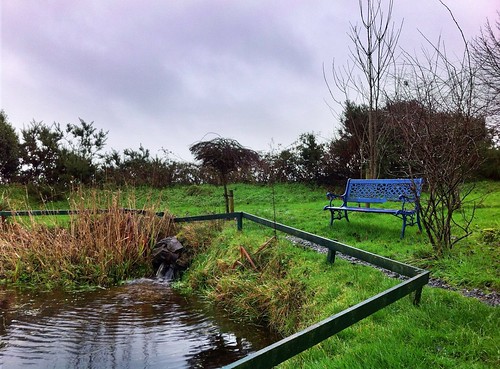 ireland irish nature grass garden countryside pond stream forsale wildlife cork newmarket hdr iphone4 mountainviewbb uploaded:by=flickrmobile flickriosapp:filter=nofilter ilobsterit 2015onephotoeachday