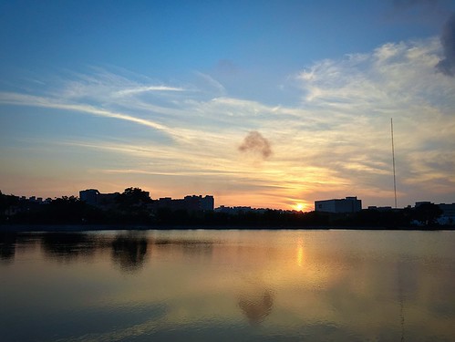 2016 may 五月 05 sunset park dusk pond 八德 埤塘 公園 茄苳 日落 黃昏 夕照 bade 茄苳埤塘公園