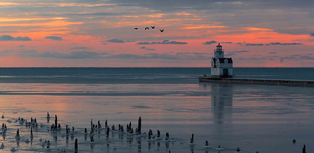 Lighthouse with Geese