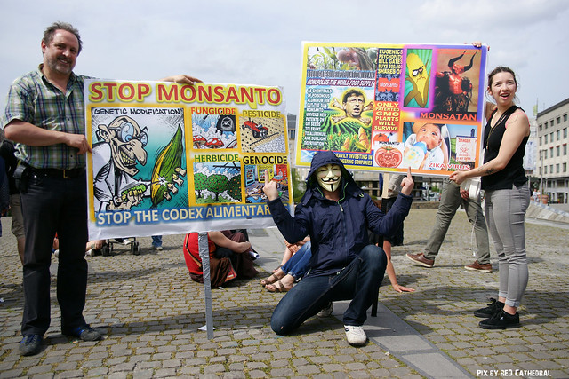 Global march against Monsanto