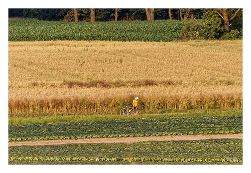 bicycle germany deutschland cycling feld nrw dxo cycliste tdf niederrhein tönisberg